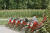 _imm014_12A_7