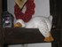 int_treffen_2010 075