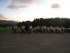 Motorradtreffen 2011 028