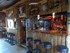 motorradtreff 2013 011